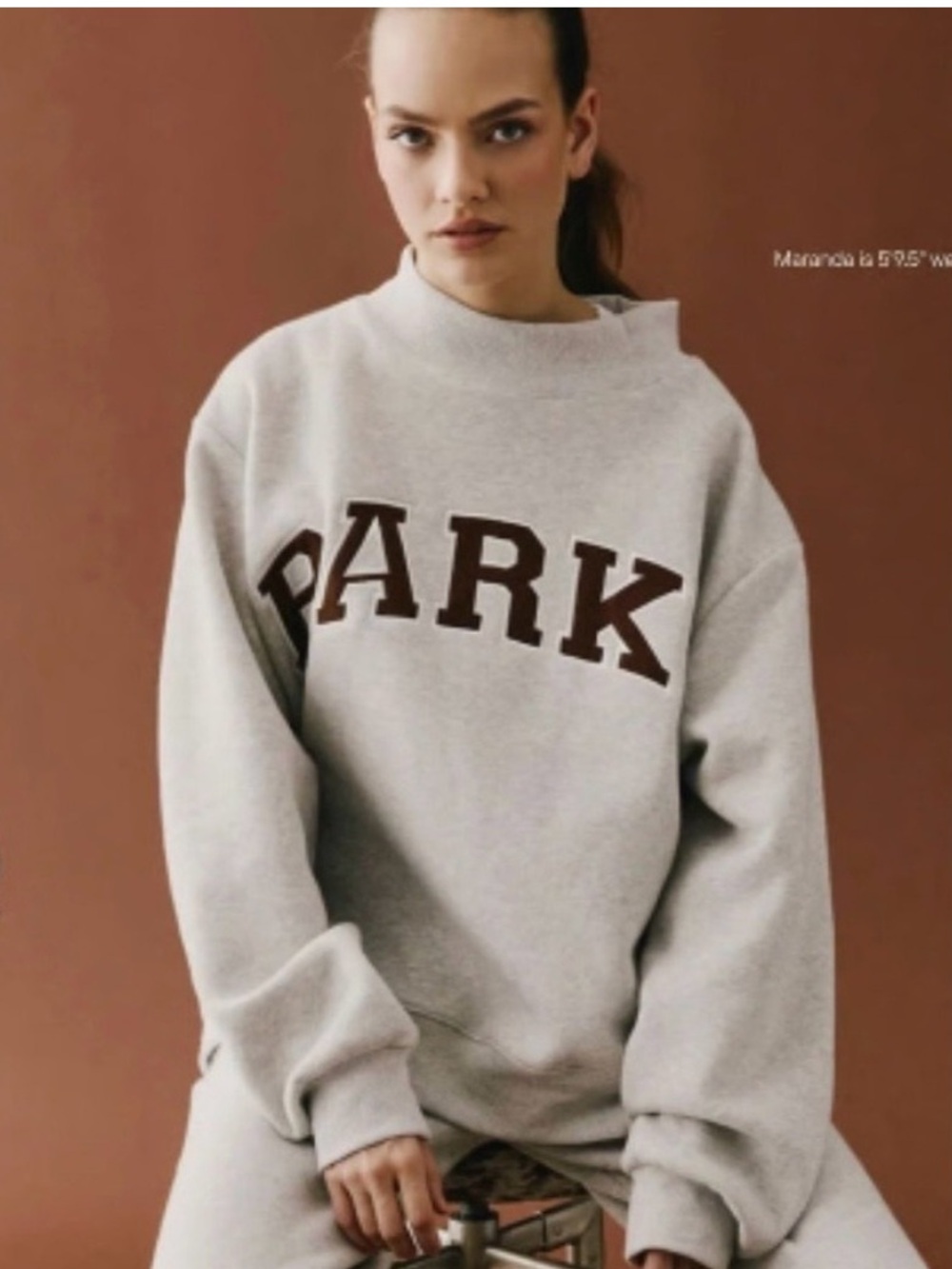 PARKE Mockneck in Classic Grey and Brown Lettering- Size XXL- NWT